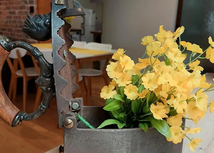 Apartament Old-timer *